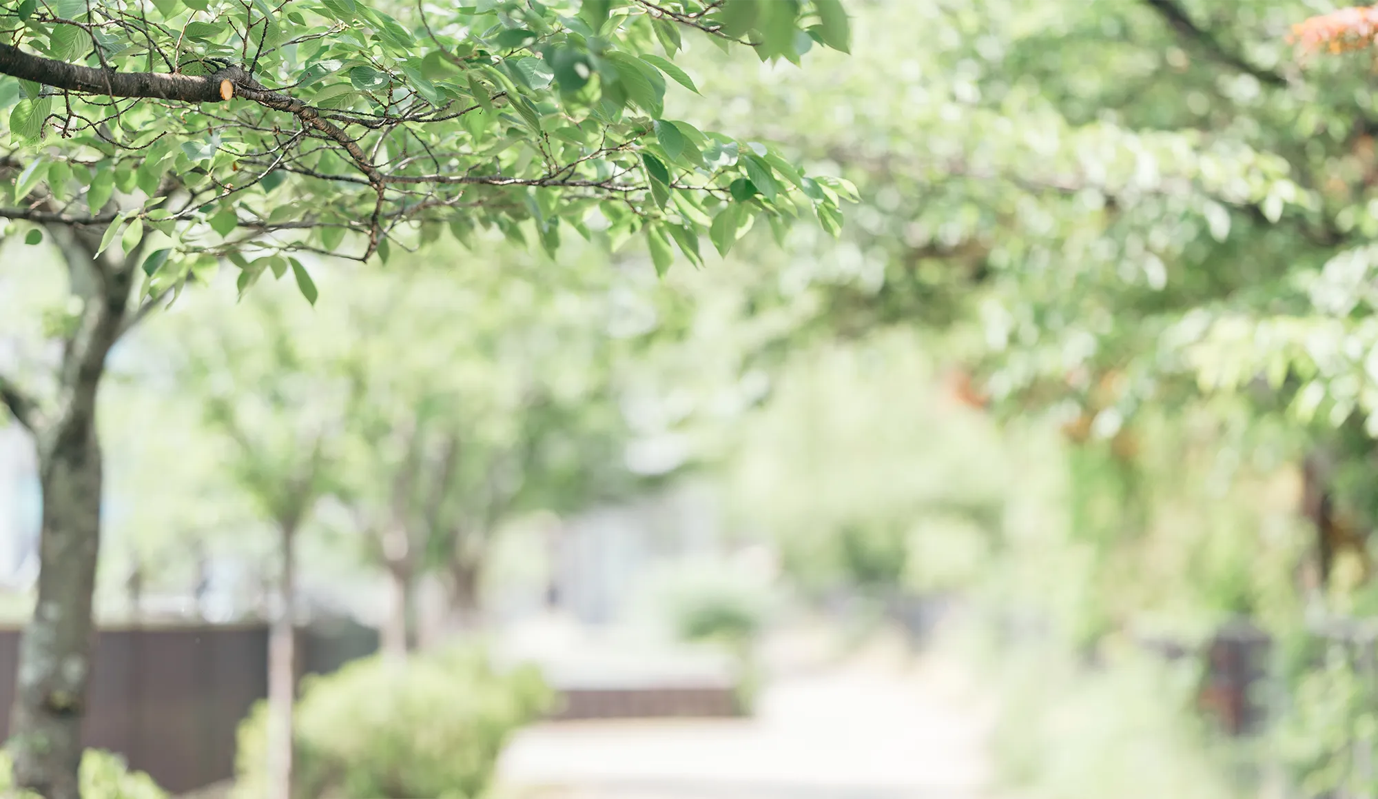 デザイナーの写真